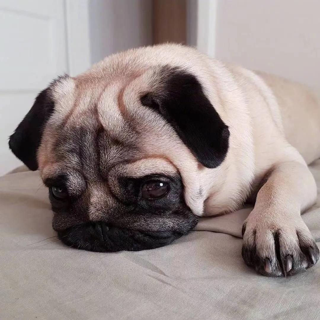 新手小白20天收益,新手小白一周收益分享