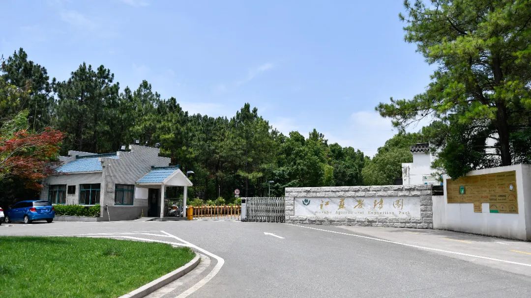 未毕业就定岗，一毕业就任教大学……这所职校的学生缘何这么牛？