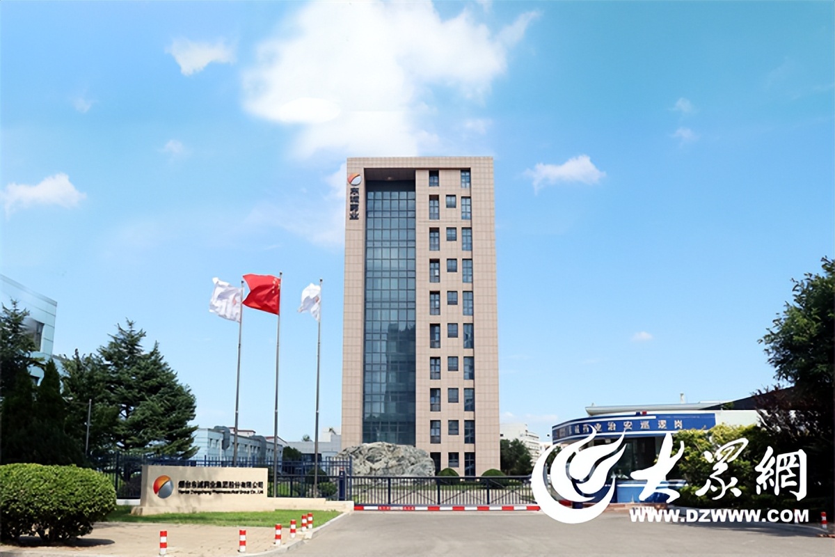 东诚药业有限公司制剂,东诚药业主要涉及哪方面