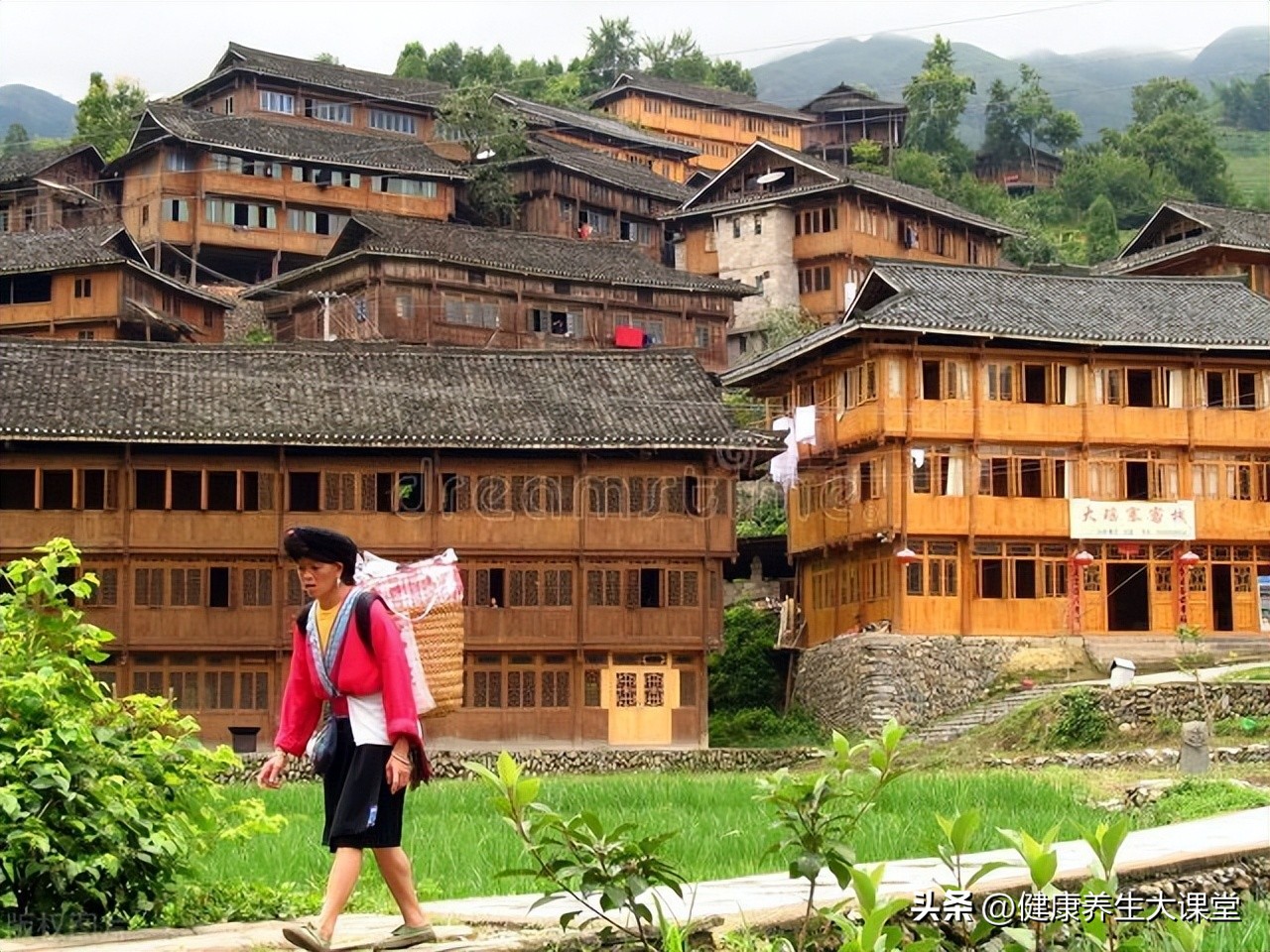 瑶医看重的九牛药是红九牛吗,瑶医九牛是什么