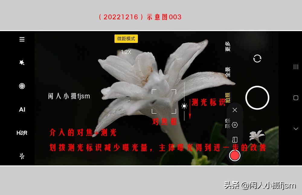 手机拍摄微距人像教程,关于手机微距摄影的一些小技巧