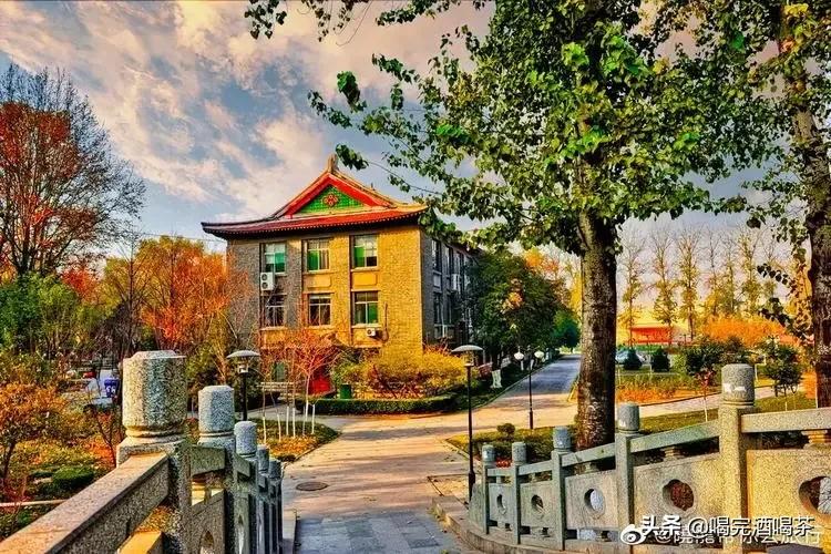 山东大学王牌专业就业难吗,山东大学护理专业分数线