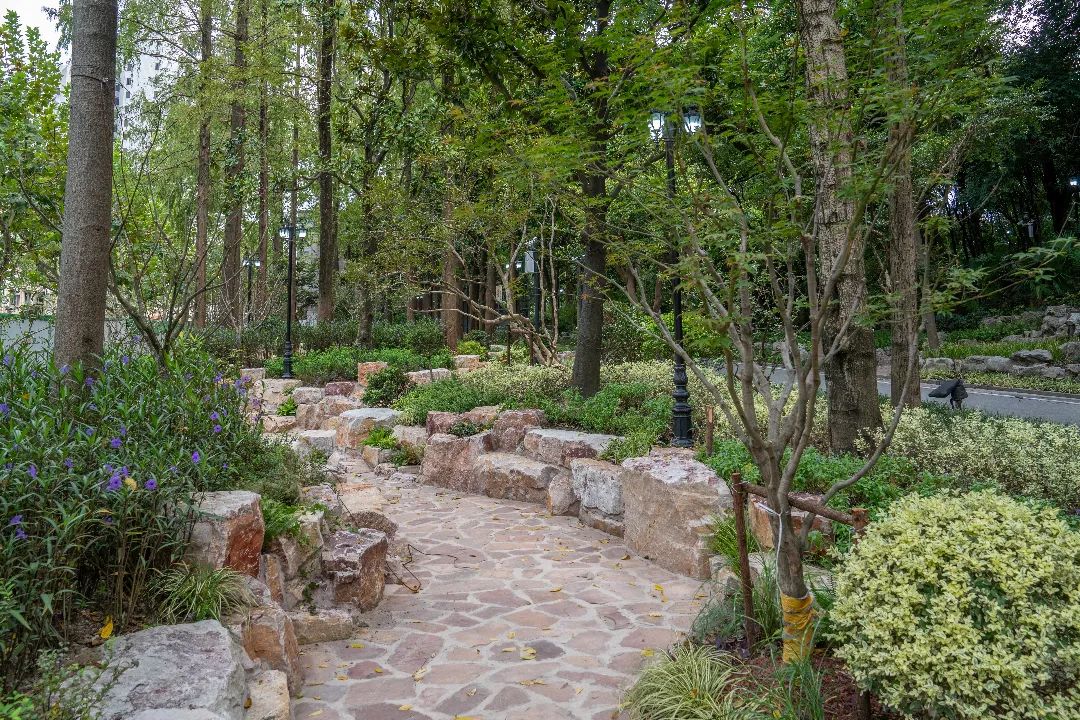 百年鲁迅公园图片大全,鲁迅公园的现状