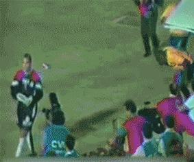 守门员评价卡洛斯任意球,卡洛斯逆天任意球守门员