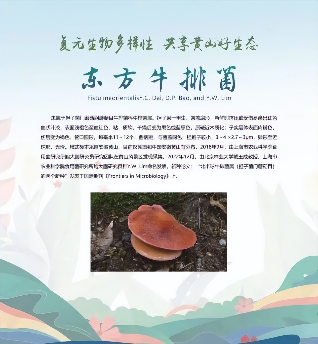 合肥二十种人气美食,合肥好吃的美食排行榜海鲜