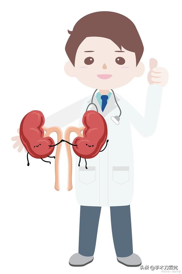 六味地黄丸补肾壮阳的药,六味地黄丸可以根治肾虚