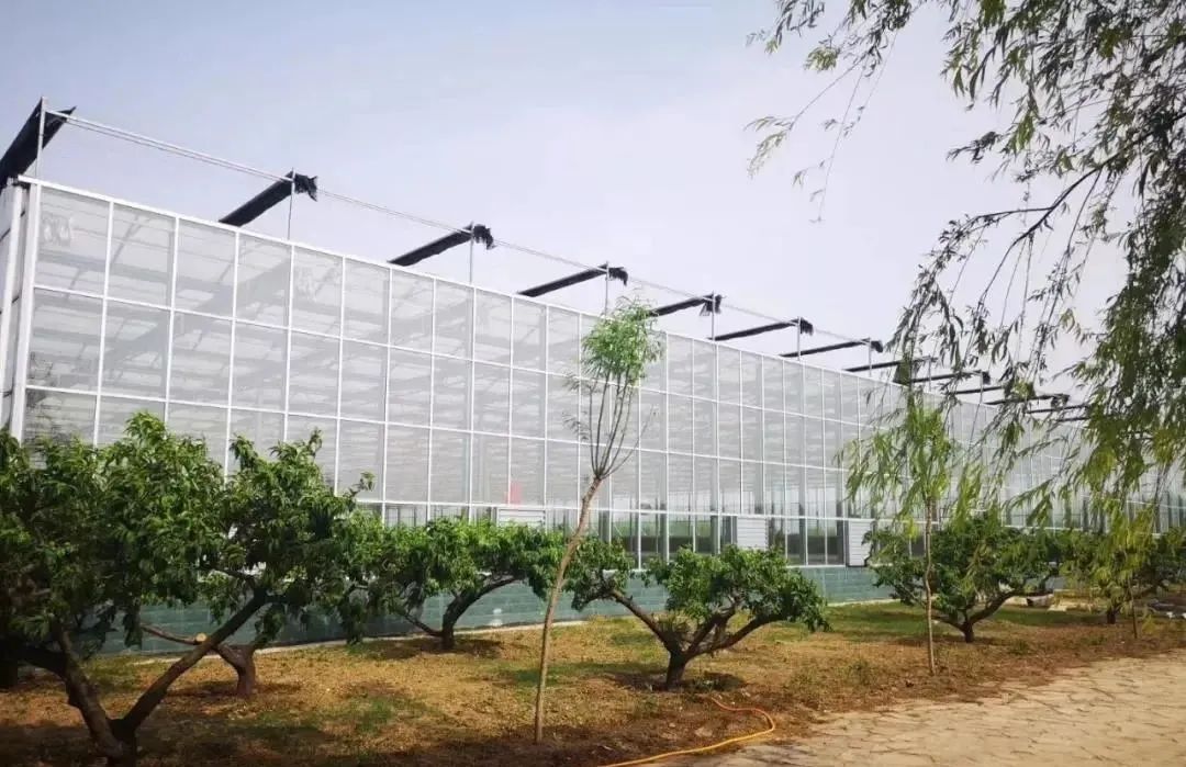 农业主题公园怎么打造,世界最成功的农业主题公园