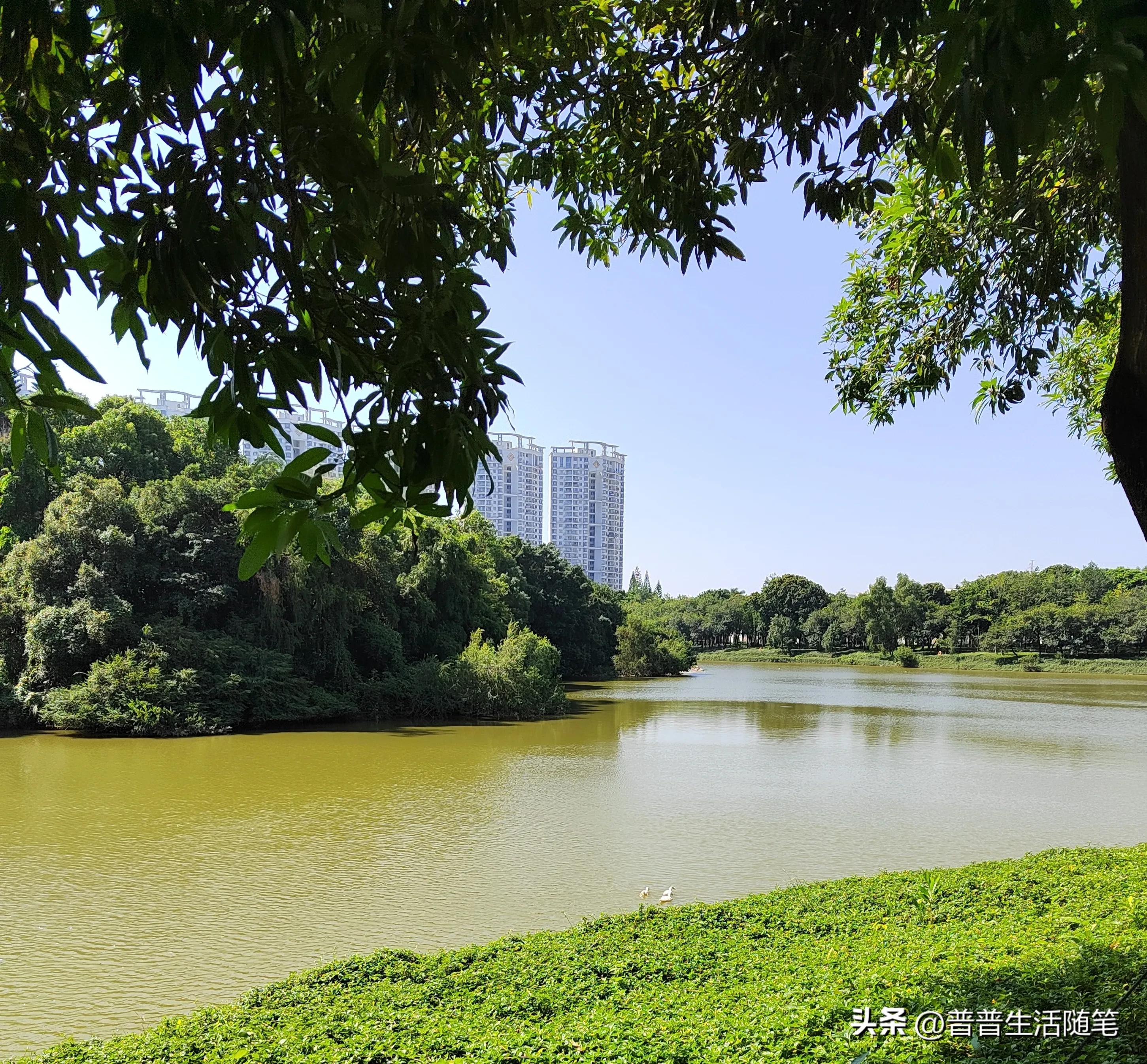 搬家公司同城搬家,搬家公司哪个平台靠谱便宜