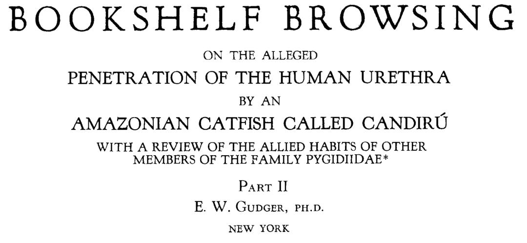 亚马逊河里有哪些特有鱼种,亚马逊河里都有什么鱼