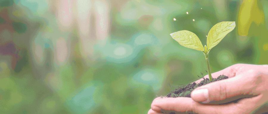 中国电子商务发展现状,2021东南亚各国电子商务