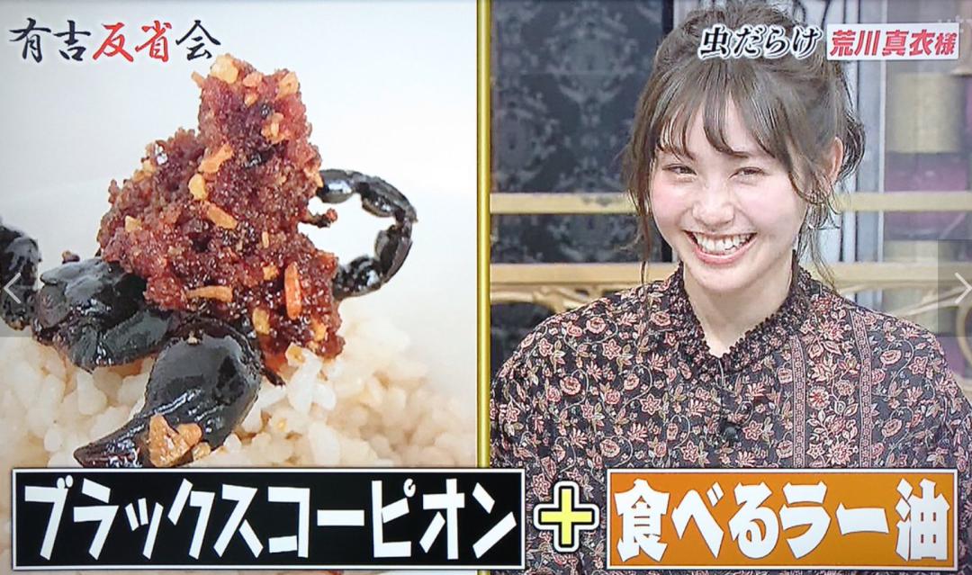 独角仙鹿角虫,鹿角虫和独角仙有什么区别