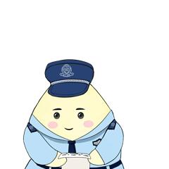 留学生机票被骗,女子买飞机票被骗12万