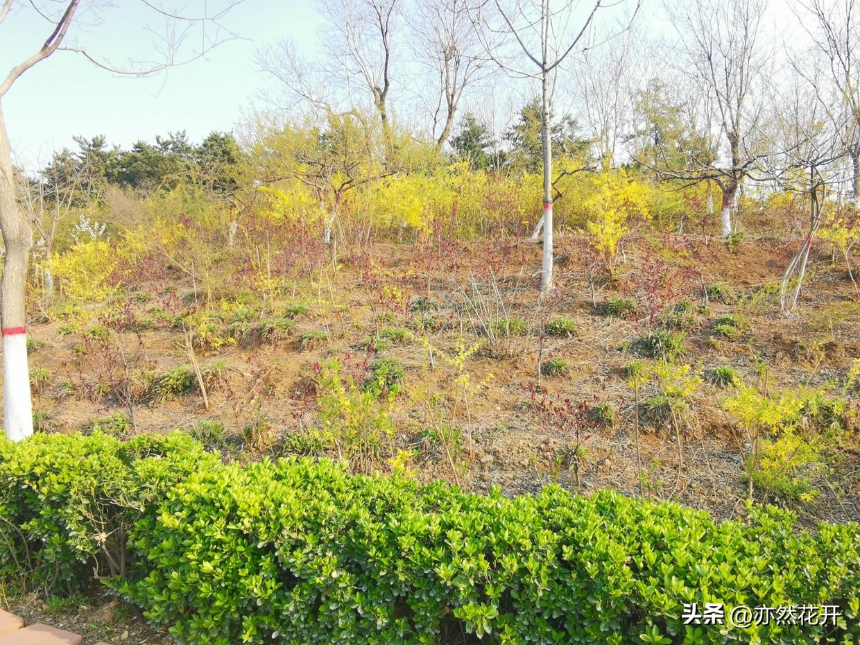 如何提高故事写作能力,学习写作技巧的感悟