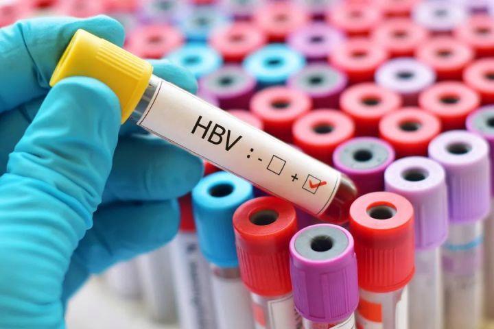 乙肝不宜吃鹅肉,鹅肉乙肝病人能吃吗