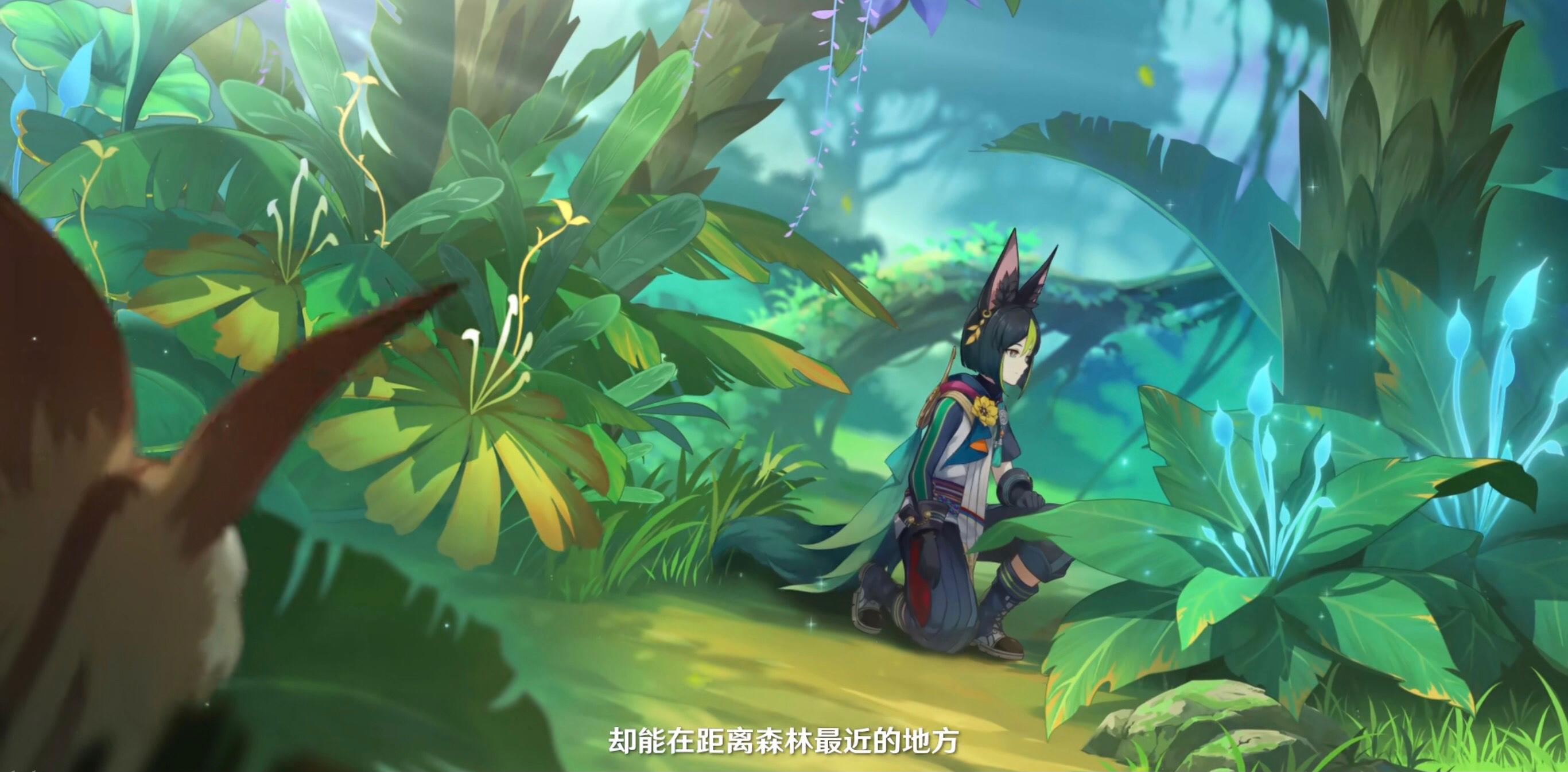 中巴建交48周年庆,中巴建交48周年现场