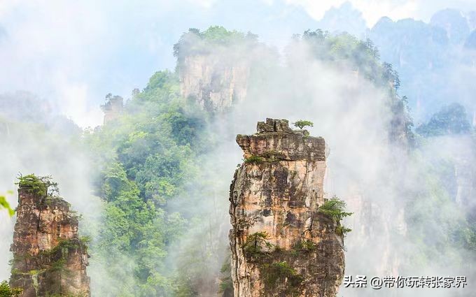 福州去长沙张家界凤凰古城攻略,张家界凤凰古城芙蓉镇自驾游攻略