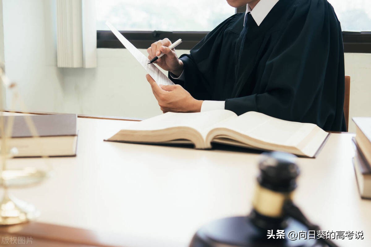 法学二级学科对当律师有影响吗,学了法学未来有哪些前途