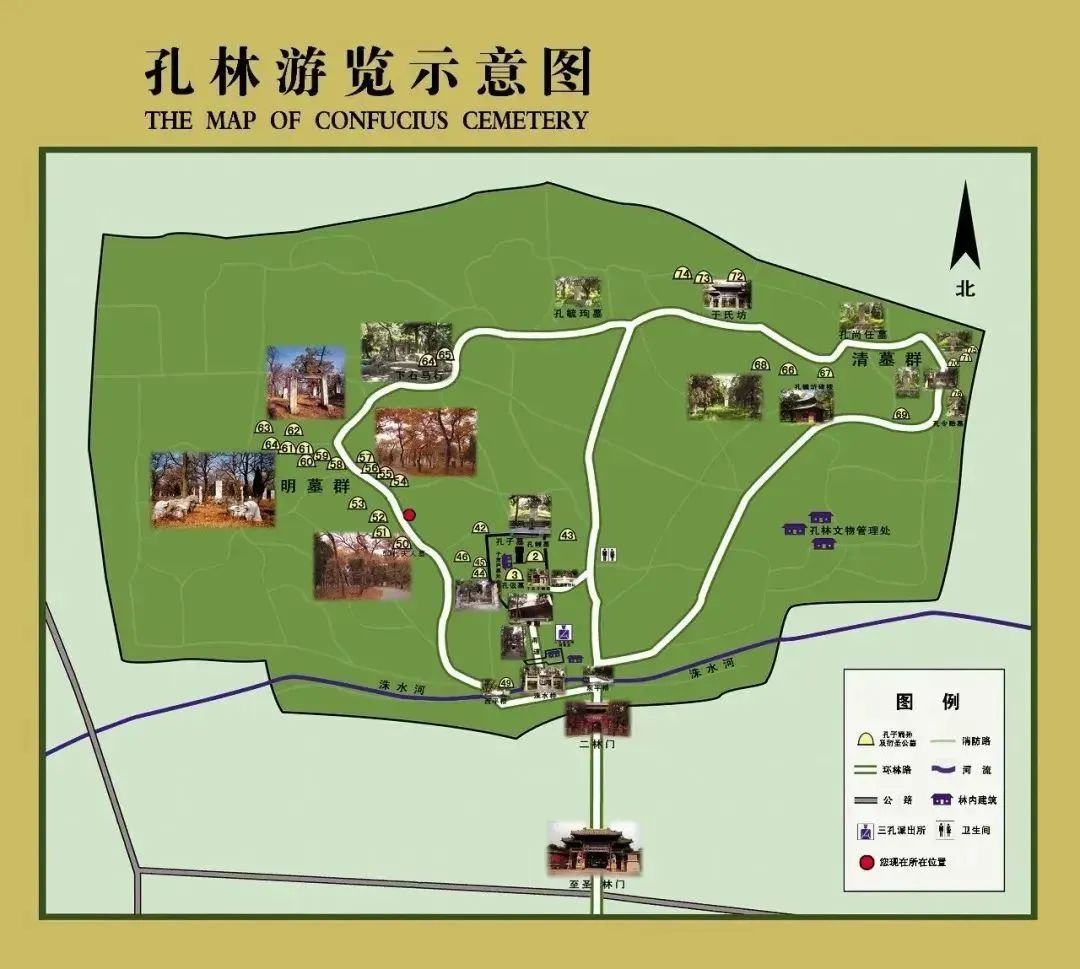 五一游玩推荐——孔子故里，朝拜圣地！三孔景区旅游攻略！