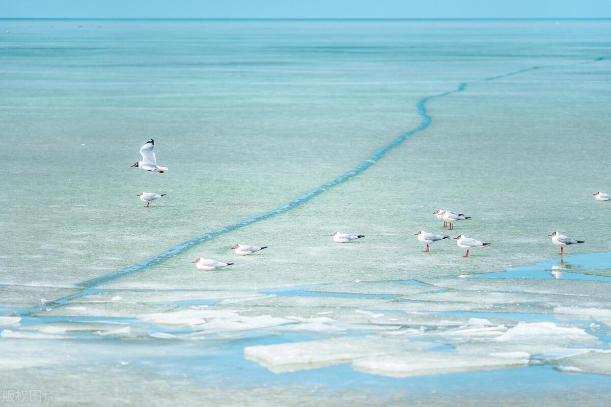 中国最值得去的100个地方是哪里,中国值得去的10个绝美旅行地