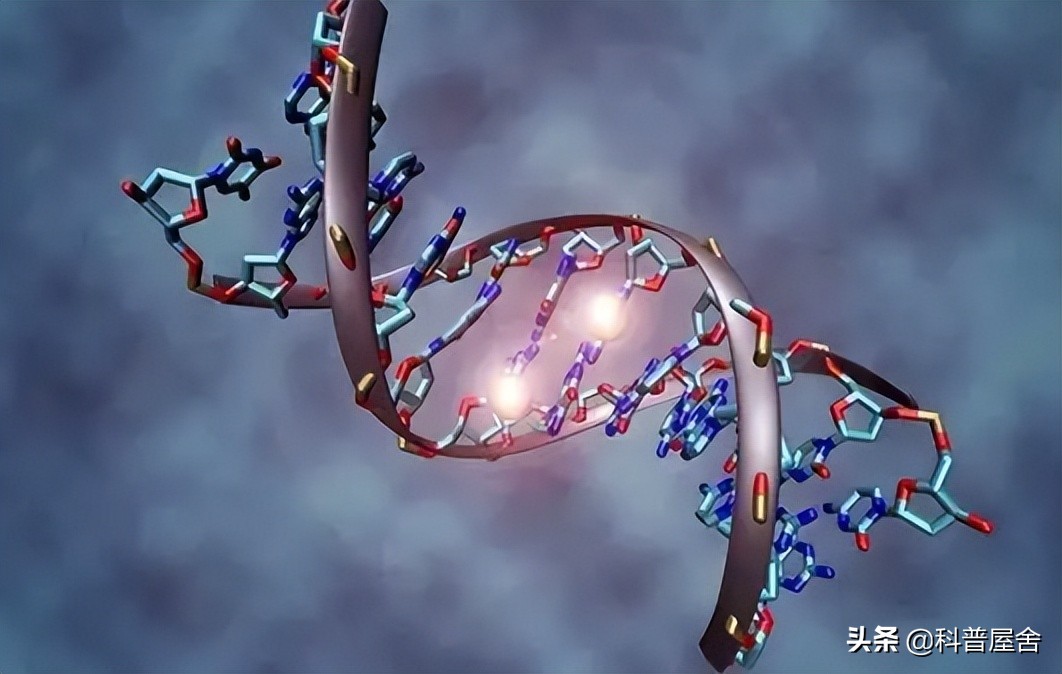 证明神存在的例子,证明神存在的理论