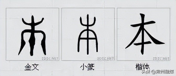 水平极高的演讲太精彩了,十大顶级经典演讲完整版