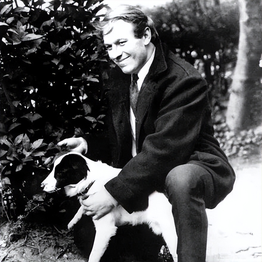 拯救世界的英雄狗狗,拯救英雄的狗狗