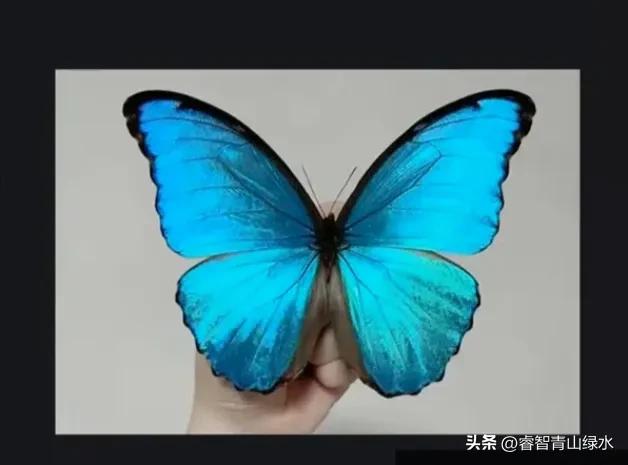 让我痴，让我醉，让我爱你没商量。