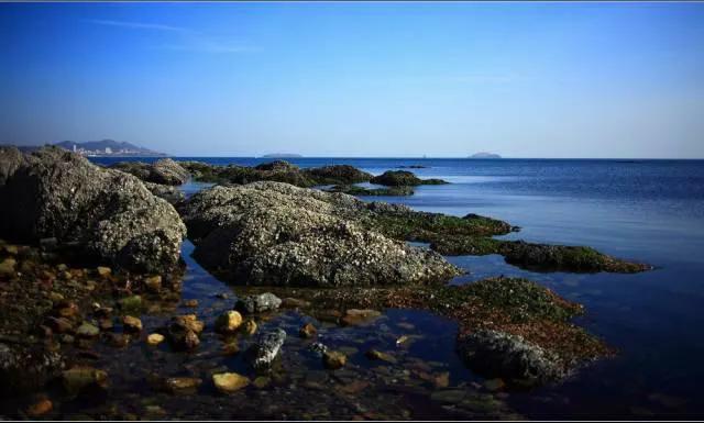 双层观光巴士游攻略,自在旅游双层巴士旅游详细攻略