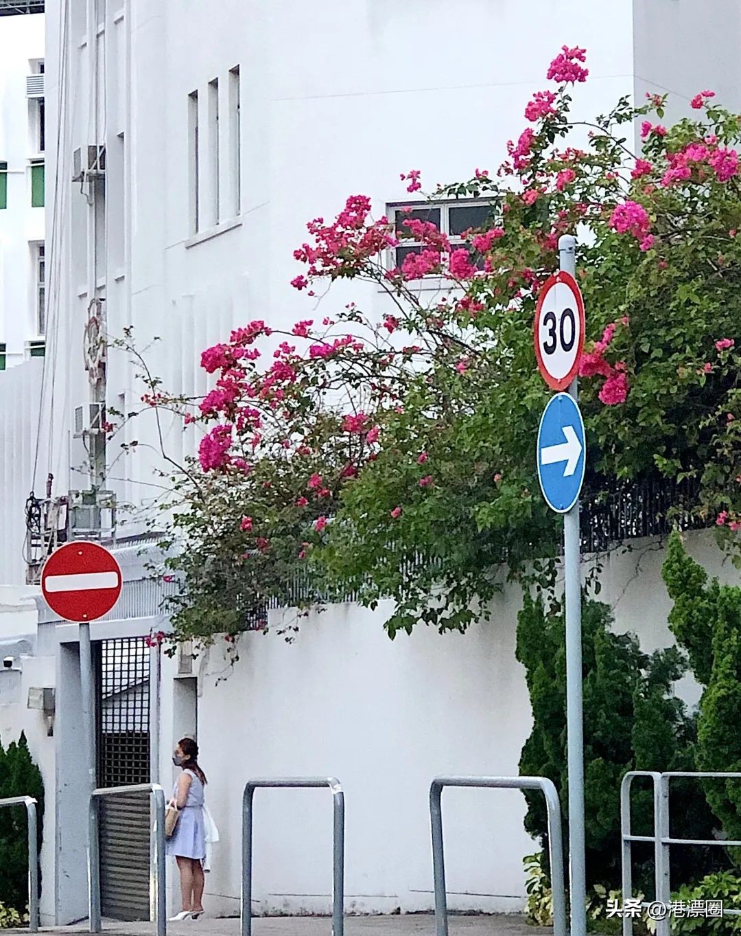 住在香港是什么样的感觉,住在香港沙田怎么样