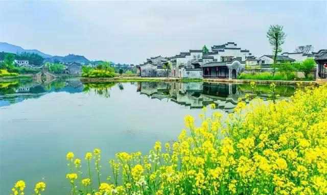 描写春天江南的绝美诗句,写江南春天美景最好的古诗词