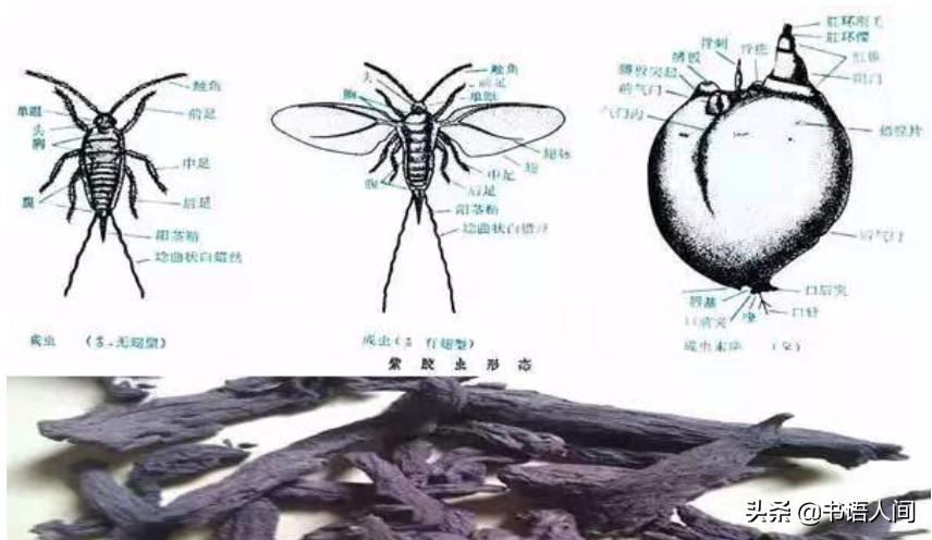 古代女子的化妆用什么来上底妆,一分钟看懂古代女性妆容