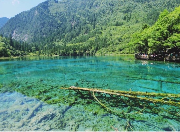 四川成都旅游导游服务,四川成都五日游自由行攻略