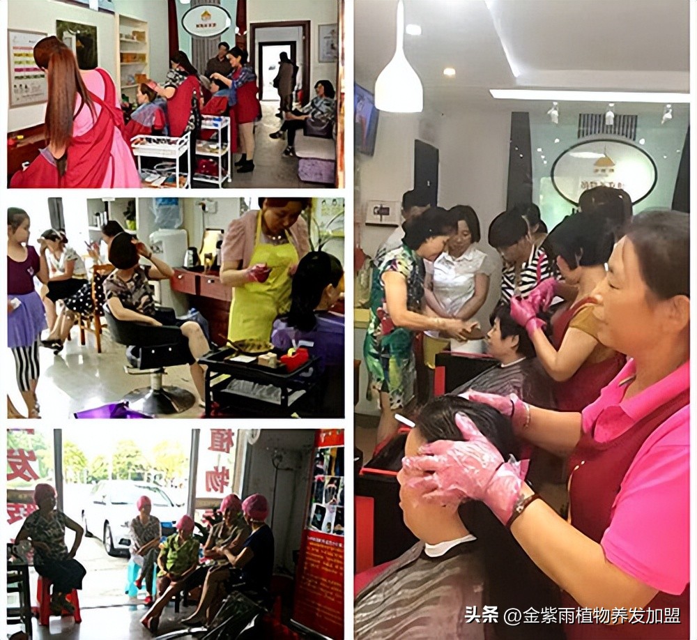 天然植物养发加盟哪家靠谱,纯植物养发粉加盟