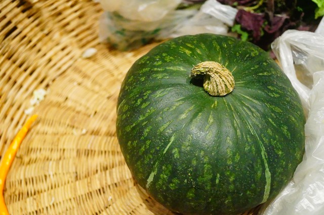 懒人减肥方法学生,懒人减肥甩脂抖抖机有效吗