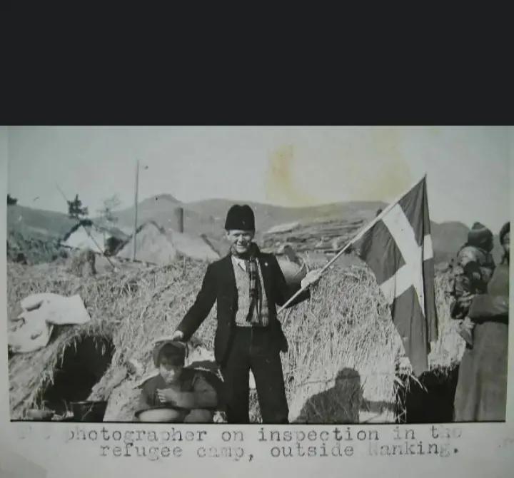 永远的南京·辛德贝格黄玫瑰