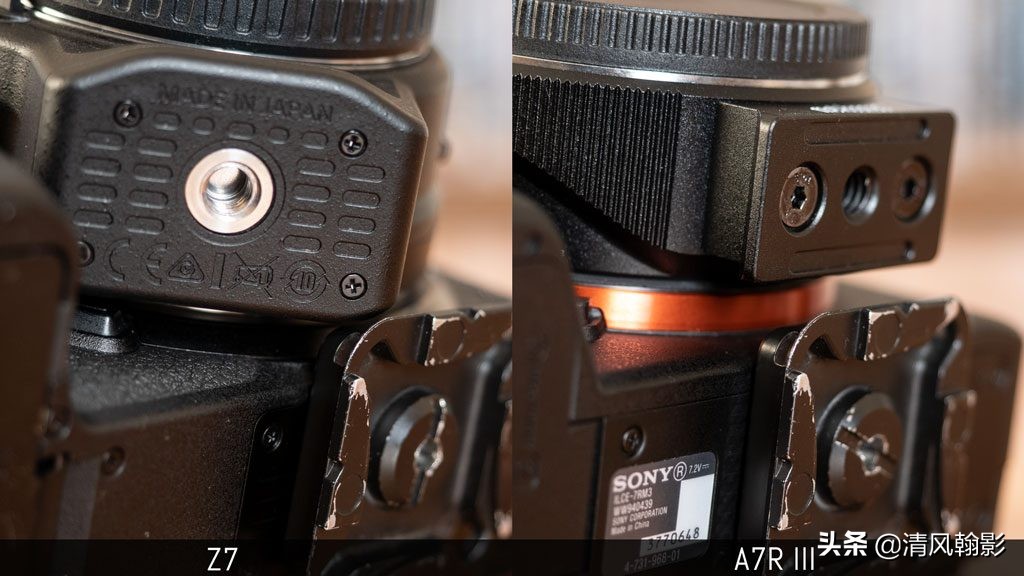 拍鸟用尼康d6好还是z7ii好,拍鸟买r6还是r5