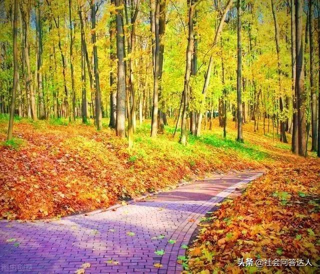 50岁快到了怎样申请退休金,50岁还没有养老金怎么办