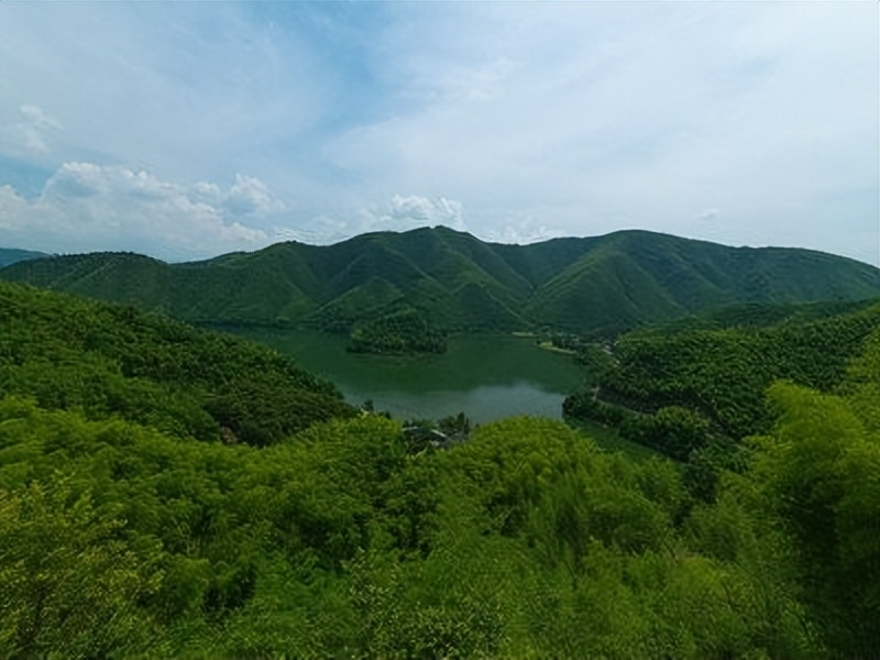 林海山水画作品欣赏,国内十大竹海排名