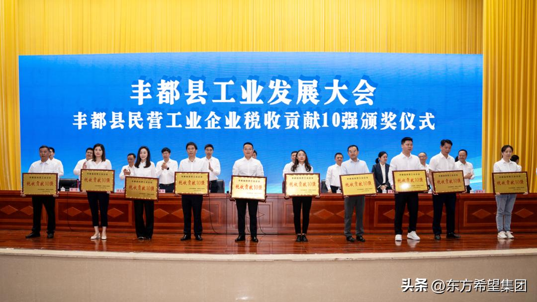 丰都水泥东方希望水泥品牌,东方希望丰都玻纤项目地址