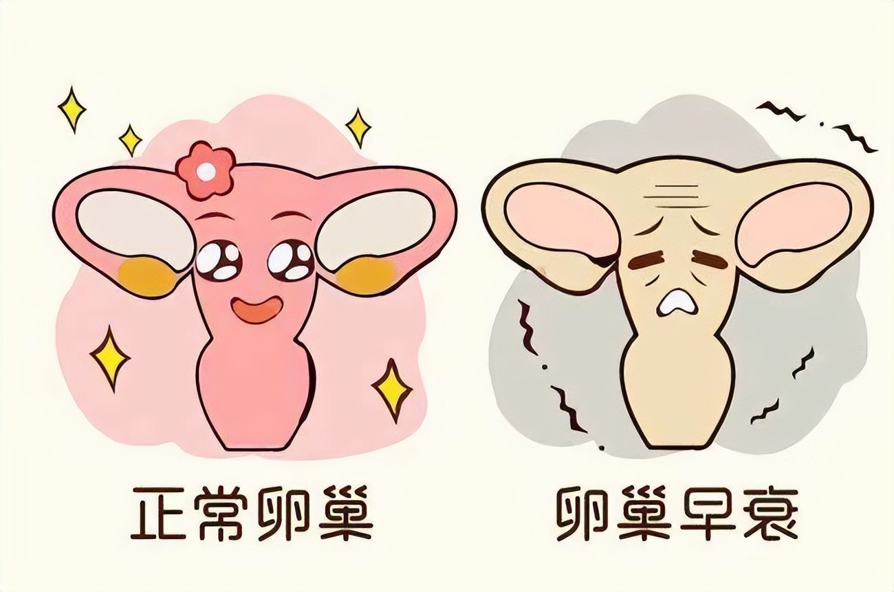 30岁卵巢早衰的现象有哪些,30岁女生卵巢早衰