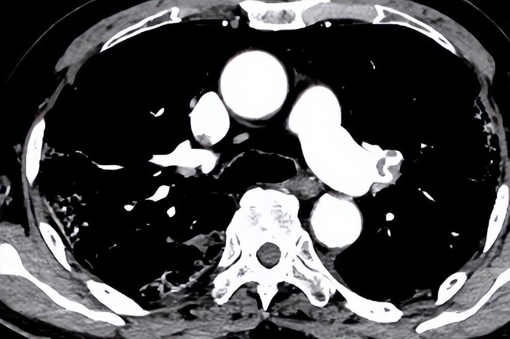 翟振国,翟振国医院