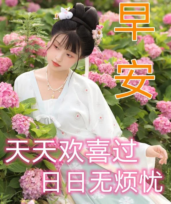 周末早安最漂亮问候图片带字,周三早安正能量图片带字