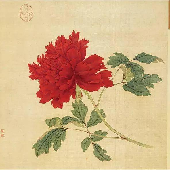 蒋廷锡牡丹画法,蒋廷锡百种牡丹画法