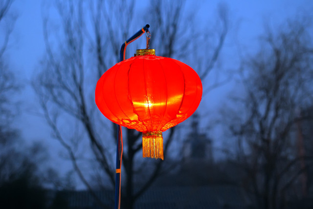 小学生英语单词学习打卡第十一天,小学英语单词复习打卡