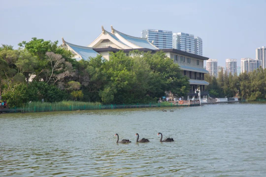 居停中国第四家华尔道夫酒店，奢享美味佳肴，开启鹭岛新玩法！