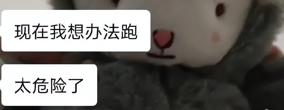 那是一个神奇的地方，有着世上最大的腰子交易市场