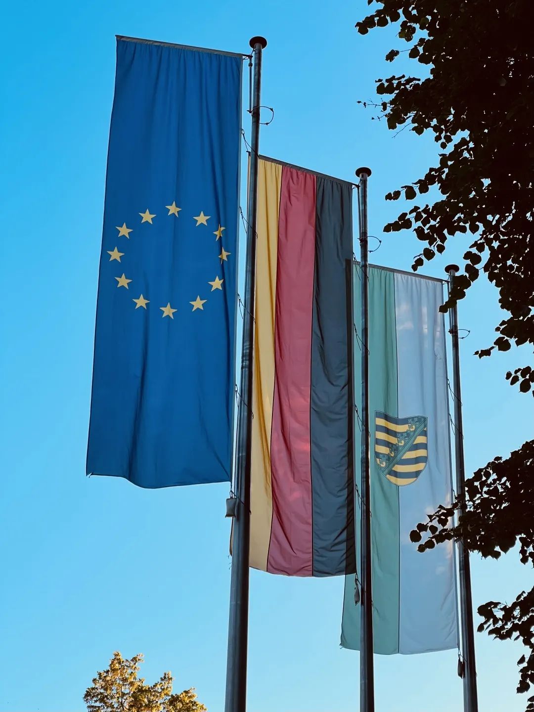 留德大学,留德分享