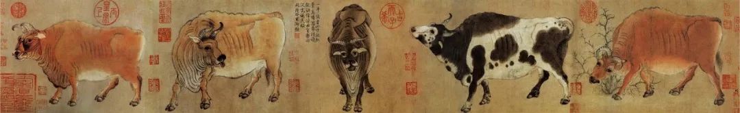 牛是人类最好的朋友,牛为什么是人类好朋友