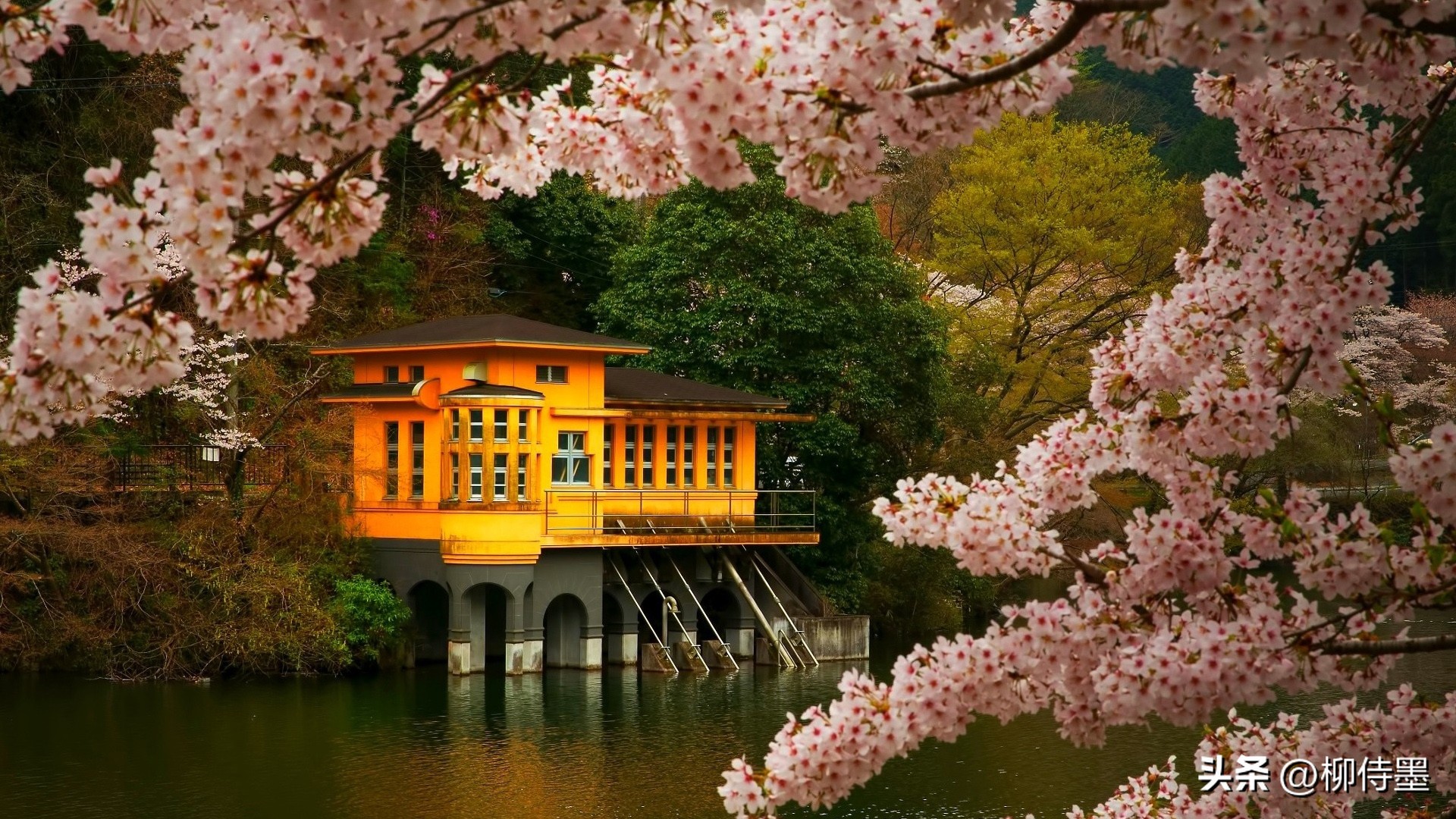 一个摄影技巧，提升拍照质量，照片好看十倍