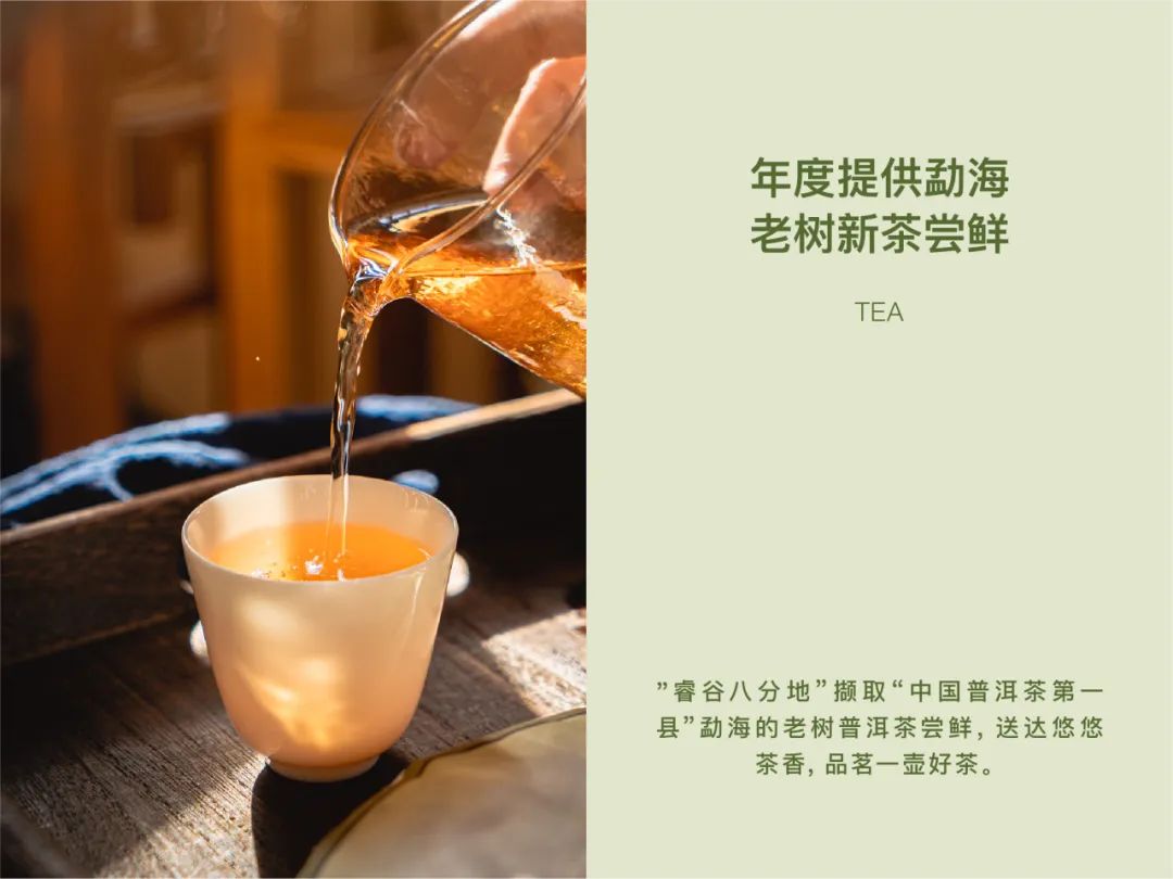 大道恒美×睿谷生态：大品牌战略，赋新生活方式营销